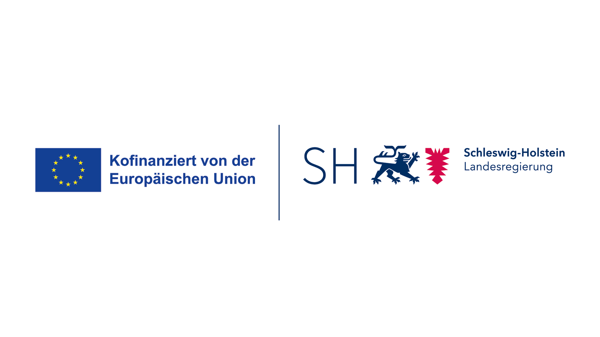 EU flag and the text 'Kofinanziert von der Europäischen Union' alongside Schleswig-Holstein state government logo separated by a vertical line